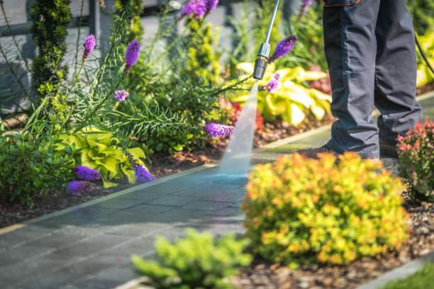 Best Restaurant Pressure Washing  in Mckinney, TX